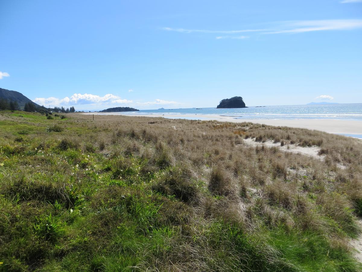 Cutterscove Resort Apartments Mount Maunganui Buitenkant foto